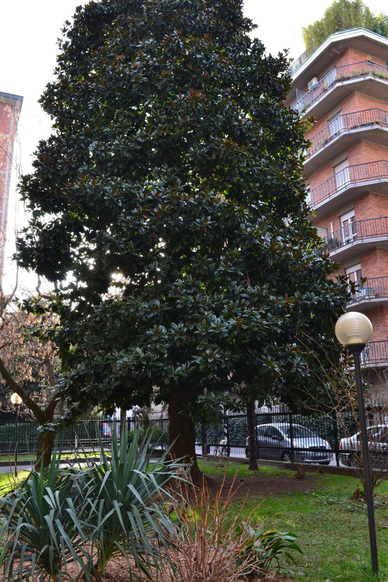 Mocenigo4 Leilighet Milano Eksteriør bilde
